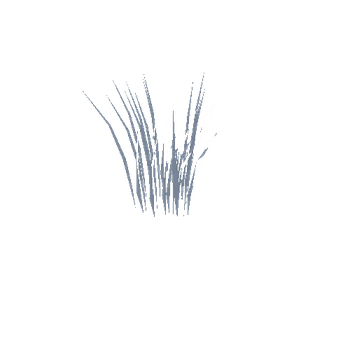 LP Grass - Single 1